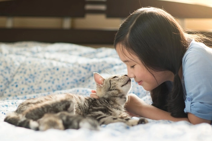 Young girl and kitten touching noses.